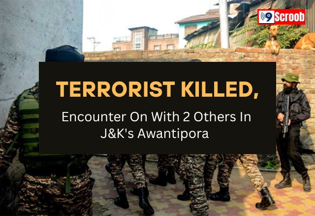 Terrorist Gunned Down in Awantipora Search Operation Underway