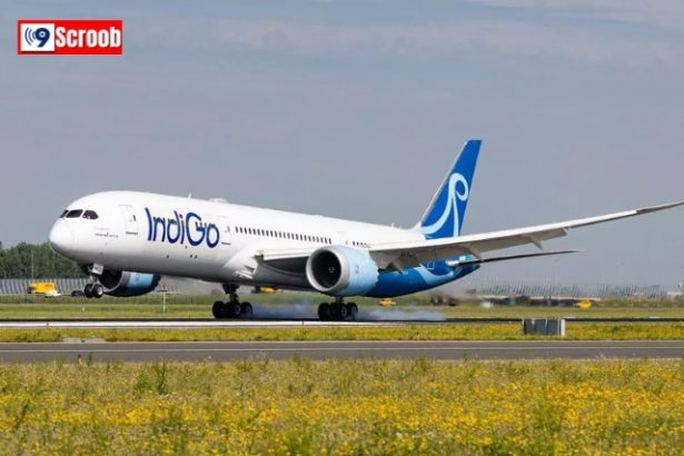 IndiGo New Flights Update Non-Stop International Services Begin
