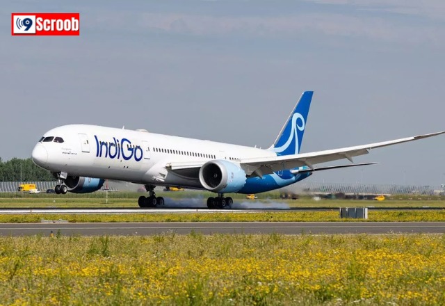 IndiGo New Flights Update Non-Stop International Services Begin